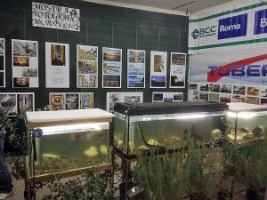 La mostra ittica a Canino