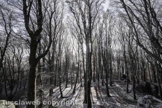 Neve sulla Faggeta