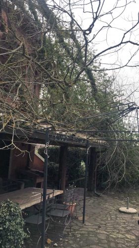 Sutri - Albero piomba su una casa