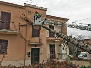 Civita Castellana - Albero piomba su una casa - L'intervento dei vigili del fuoco