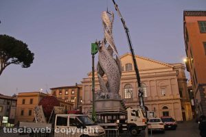 Viterbo - Fiore del cielo a piazza del Teatro