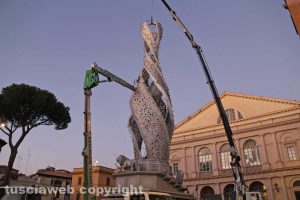 Viterbo - Fiore del cielo a piazza del Teatro