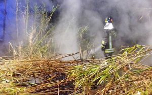 Incendio sulla Tarquiniese