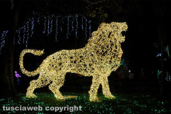 Luminarie-salerno-(4)