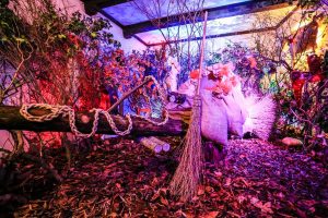 Viterbo - Caffeina Christamas village - La casa della befana
