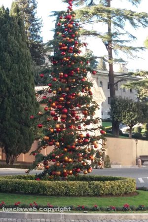 Roma - Il Natale in Vaticano