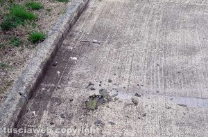 Viterbo - Il degrado al parco Peppino Impastato 