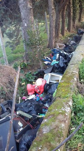 Viterbo - Santa Barbara - Discarica nel canale di deflusso acqua