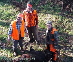 Tuscania - Caccia al cinghiale per i cacciatori dell'azienda faunistico-venatoria Pantalla