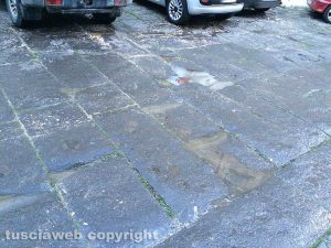 Viterbo - Liquami a piazza S. Maria Nuova
