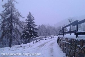 Neve