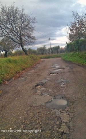 Viterbo - Dissesto e buche in strada Salamaro