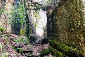 Barbarano Romano - Parco Marturanum
