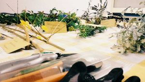 Corso di giardinaggio all'associazione Click
