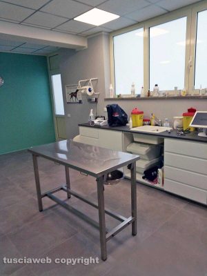 La clinica veterinaria sulla Cassia, loc. Vico Matrino