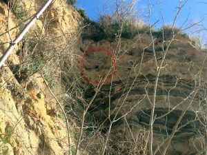 Bagnoregio - Progetto di tutela per Civita