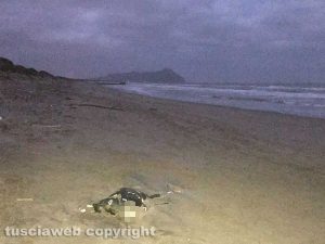 Sabaudia - Lo scheletro ritrovato sulla spiaggia