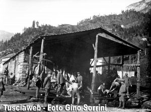 1916 - Capannone per la macellazione dei bovini sul fronte italo-austriaco - Foto Gino Sorrini