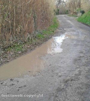 Viterbo - Strada Buon Respiro