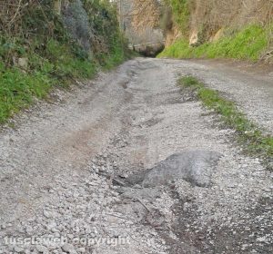 Viterbo - Strada Buon Respiro