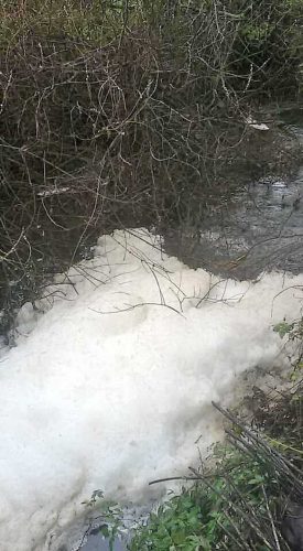 Tuscania - Il sopralluogo sul fiume Marta 