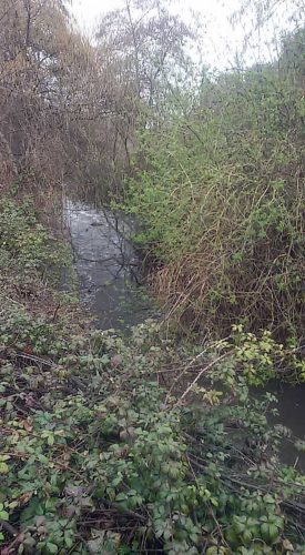 Tuscania - Il sopralluogo sul fiume Marta 