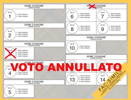 Elezioni politiche esempio 5
