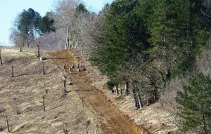 Viterbo - Esercitazione di orienteering e topografia della Scuola sottufficiali dell’esercito