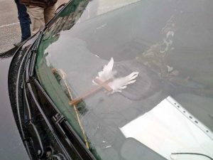 Macerata - Spari in città, la polizia ha fermato un uomo