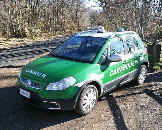 Carabinieri forestali