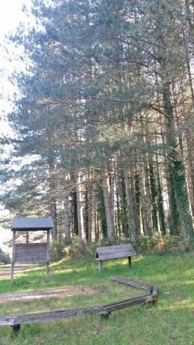 Parco Cimini