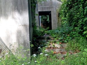 Viterbo - Ex terme Inps