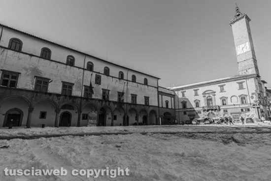IMG_2494