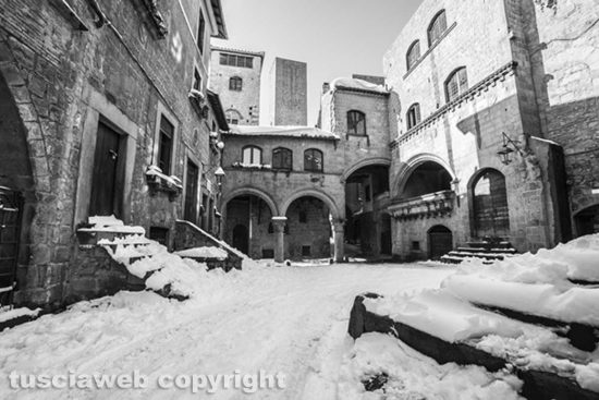 IMG_2561