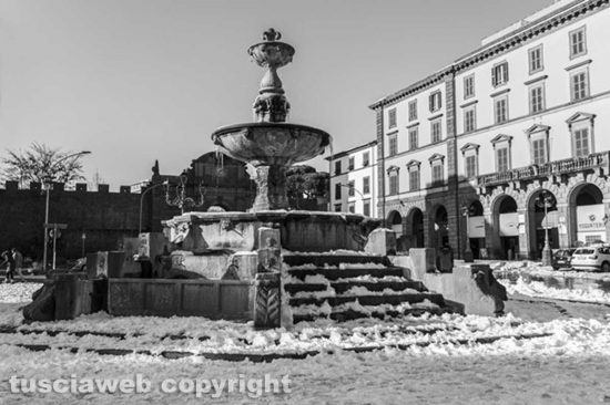 IMG_2594
