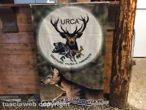 Urca - Viterbo