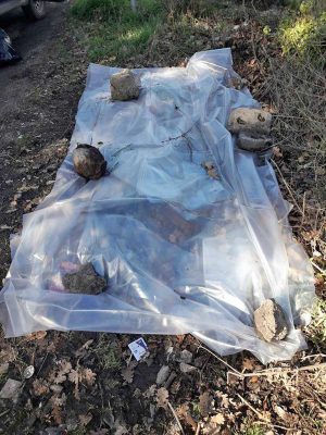 Vetralla - L'eternit