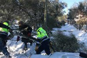 Corchiano - Neve - La protezione civile al lavoro