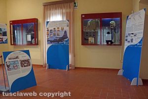 Bolsena - La sezione testimonianze e relitti del museo