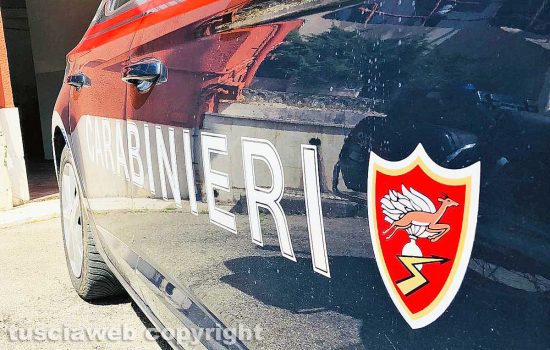 Il Norm dei carabinieri