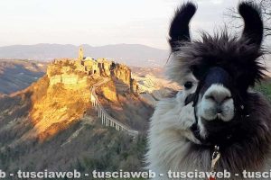 Bagnoregio - Il viaggio di Walther Mair, Thomas Burger e Thomas Mohr