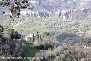 Alla scoperta di Tecchi tra le campagne bagnoresi