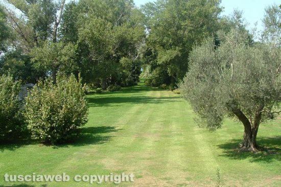 Isola-Bisentina-4