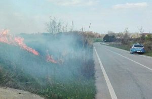 Tarquinia - Incendio in strada Lupo Cerrino - La polizia