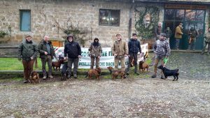 Le prove specialistiche dell'associazione italiana Alpenlaendische Dachsbracke