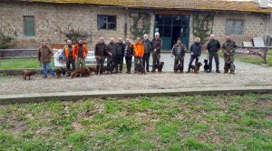 Le prove specialistiche dell'associazione italiana Alpenlaendische Dachsbracke
