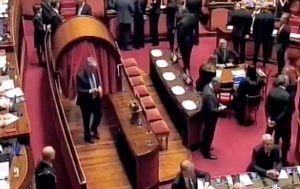 Roma - Senato - Umberto Fusco vota