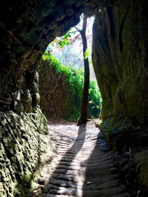 Vie cave 