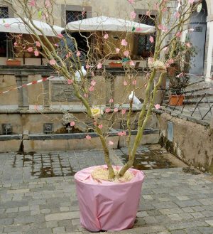Bolsena - Piazza S. Rocco - L'albero di Pasqua
