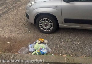 Viterbo - Plastica a terra in zona Murialdo